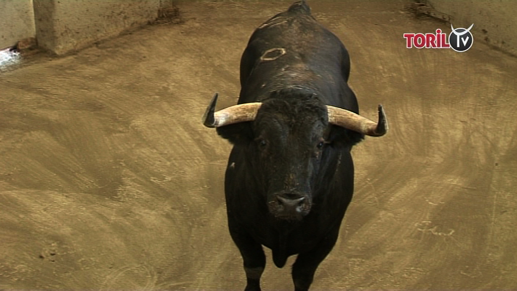 La fameuse LISTE NOIRE de La Asociación El Toro de Madrid