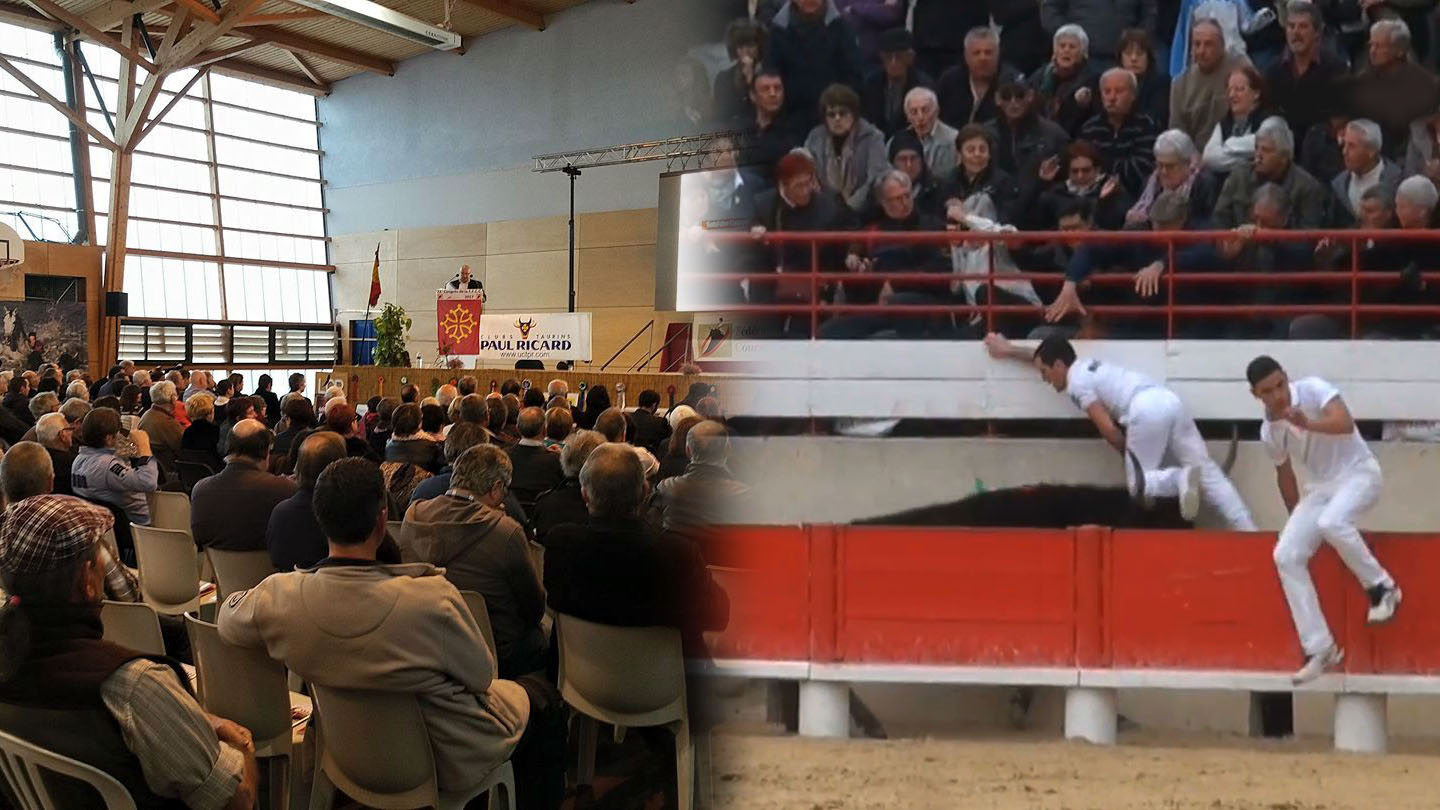 COURSE CAMARGUAISE // Le Congrès 2019 de la FFCC prend date