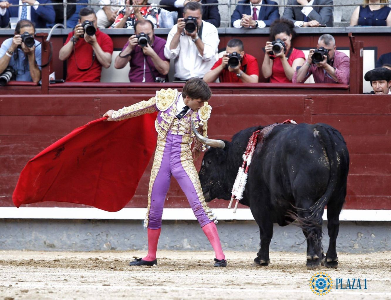 MATADORS FRANCAIS 2017 – Le Bilan