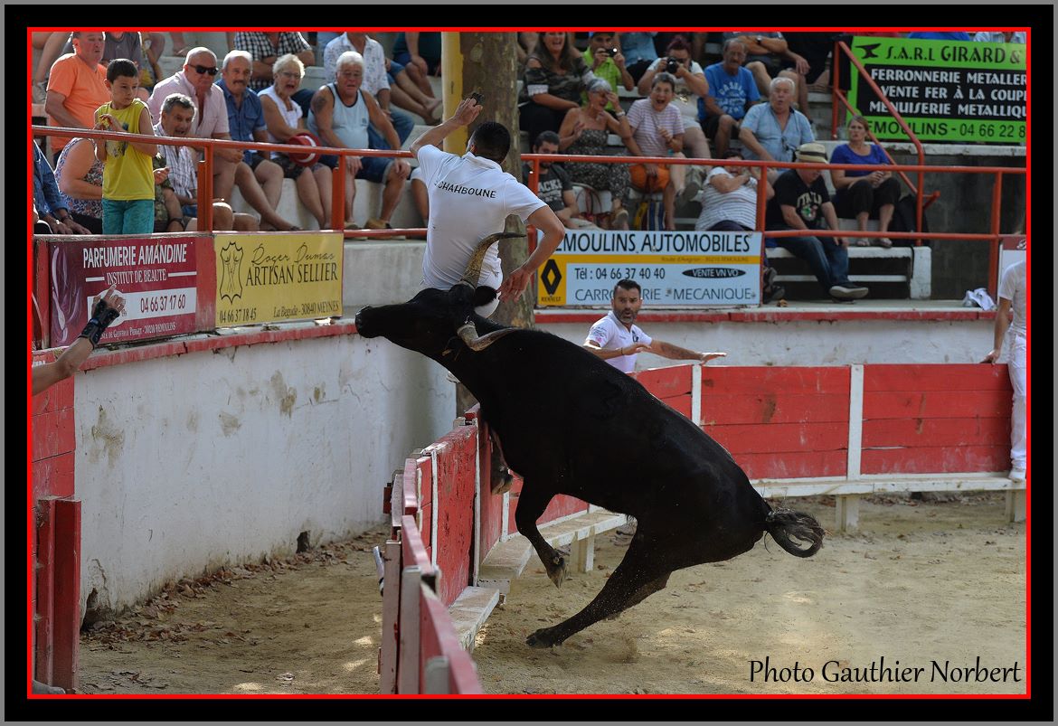 Participez au concours photos de l’Union Taurine Remoulinoise