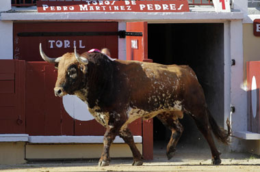 FERIA DE LA CRAU 2018 – LES ELEVAGES