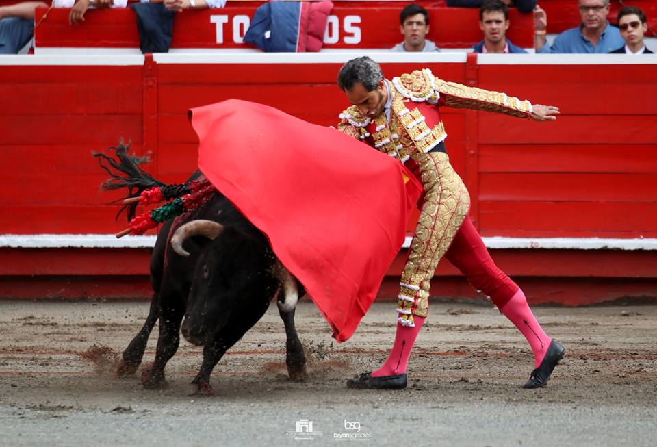 JERONIMO, BOLIVAR, VANEGAS… Les courses du week end