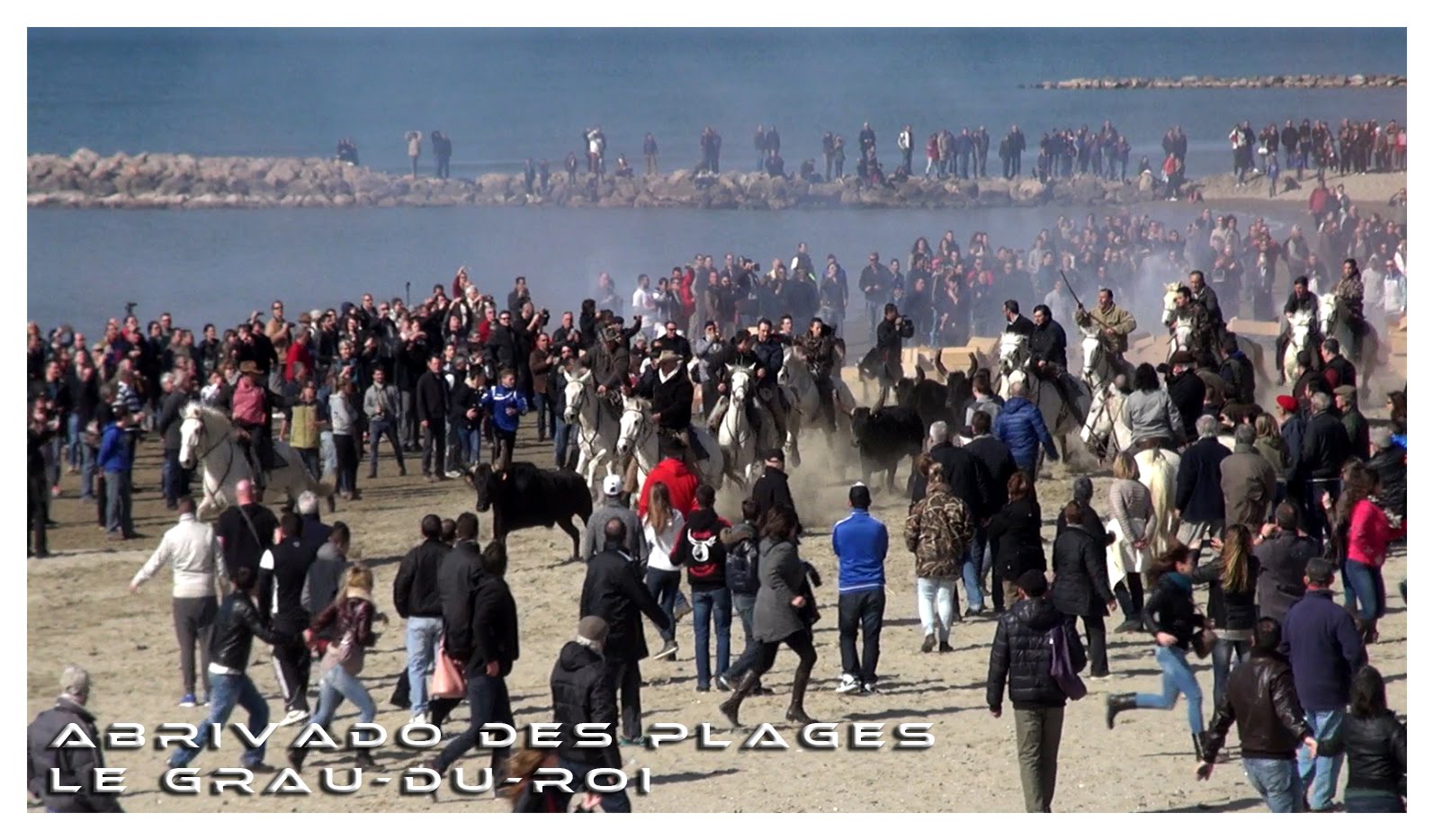 GRAU DU ROI – L’Abrivado des Plages ce samedi est annulé et reporté