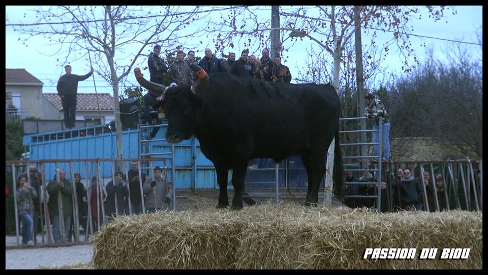 VIDEO // Course au plan MEYNES 06/01/2018 et 13/01/2018