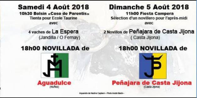 Parentis - Feria du novillo @ Parentis