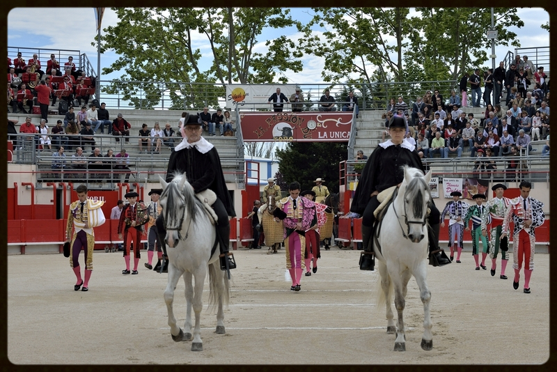 SAINT-MARTIN-DE-CRAU – Une feria prometteuse