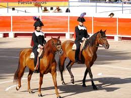 CHATEAURENARD … Une prometteuse corrida de toros