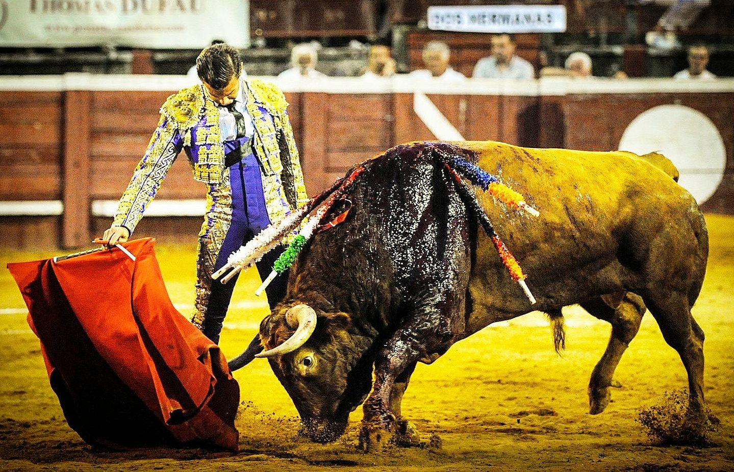 Mathieu Guillon EL Monteño met un terme à sa carrière de matador de toros