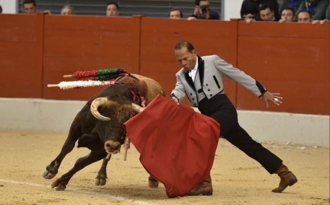CASTELLON, POMAREZ, LAS ROZAS… les autres courses du week end.