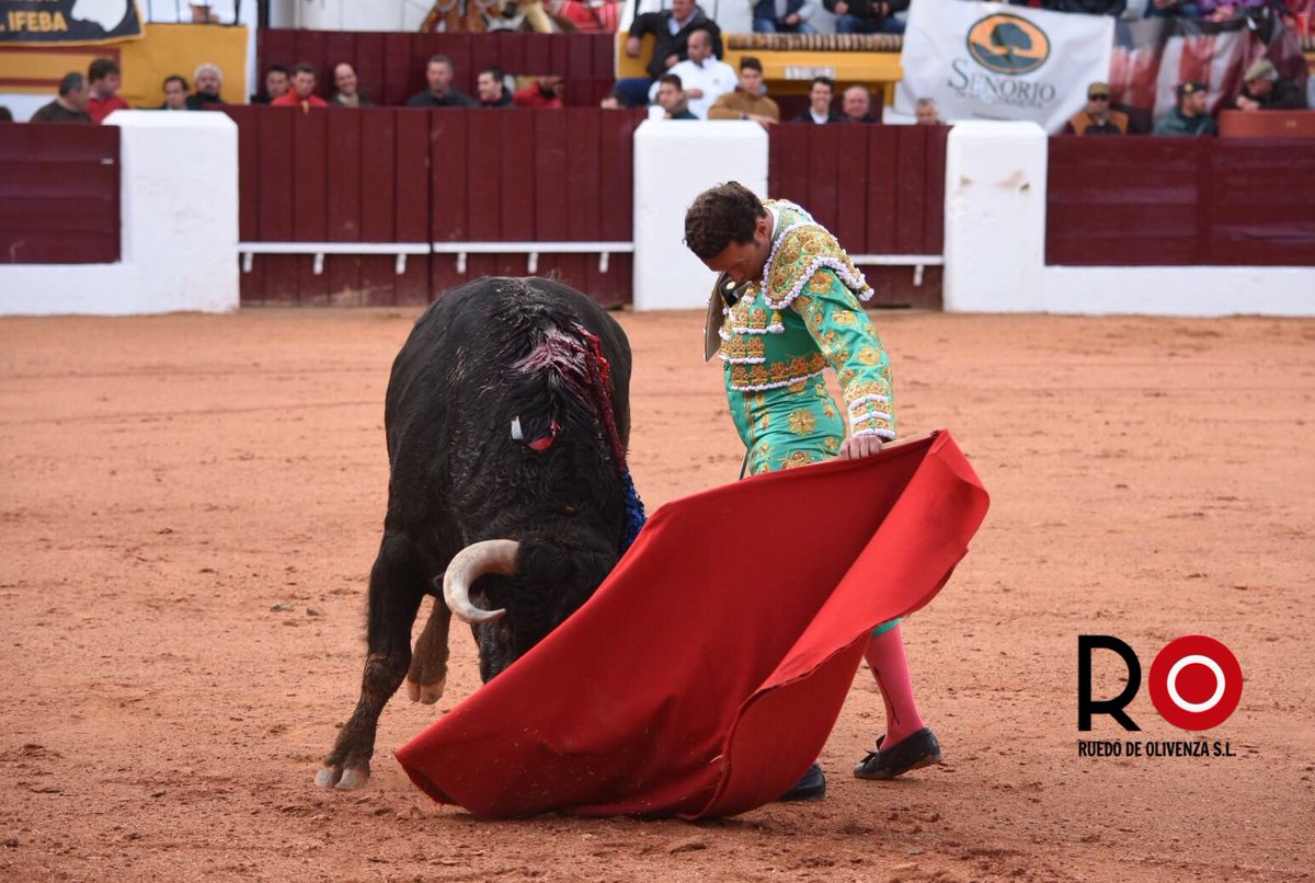 OLIVENZA – Pluie d’oreilles pour la matinale et déception pour la clôture.. (photo Ruedo de Olivenza FIT)