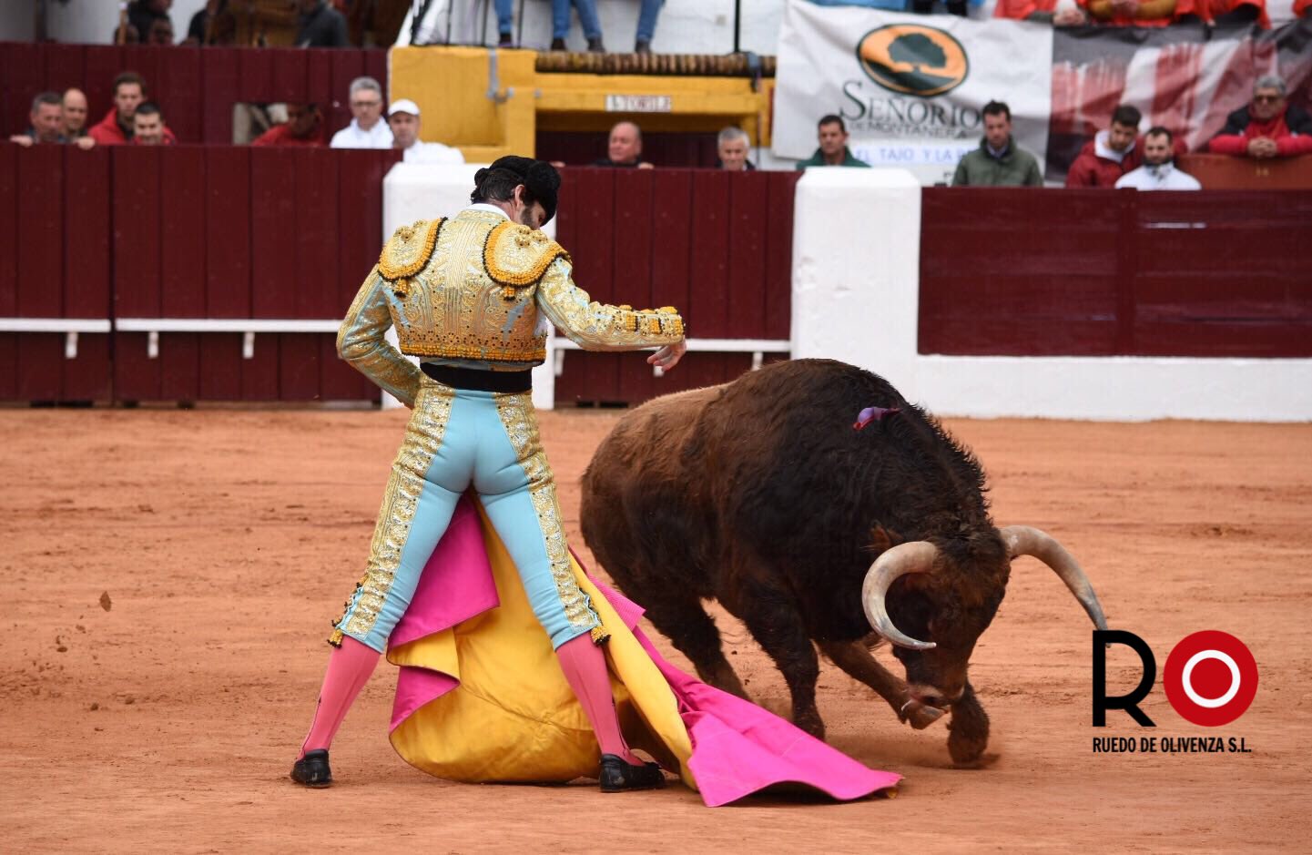 OLIVENZA – Corrida Matinale, triomphe de Padilla, blessure pour Luis David Adame (photo Ruedo de Olivenza)
