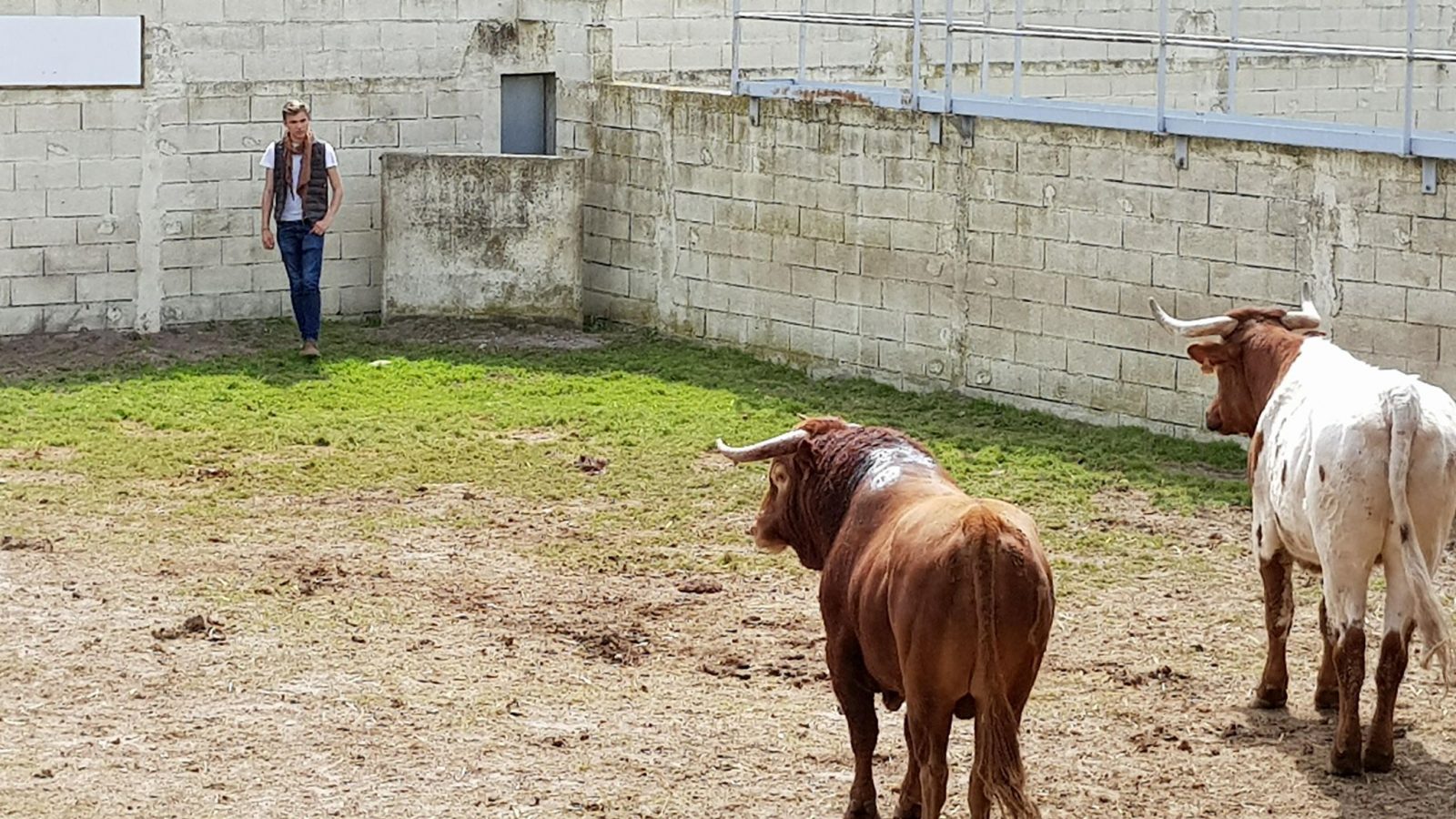ANDY YOUNES est venu saluer LASTIMOSO avant son départ..