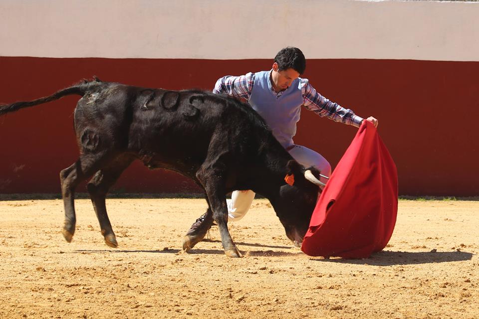 Entretien avec KIKE » J’ai quelque chose à dire devant les toros »