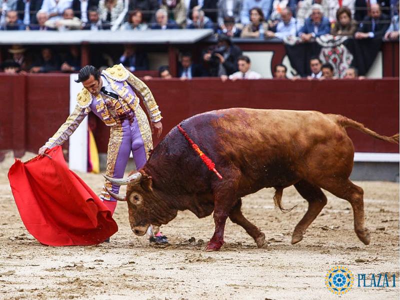 MADRID – La seule vuelta pour DAVID MORA au cœur d’une soirée sans émotions.