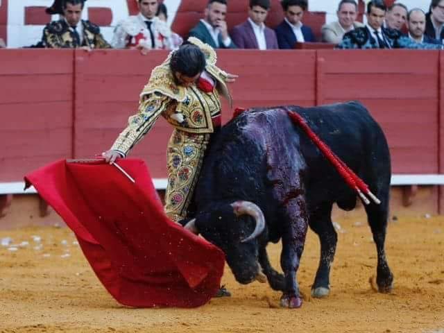 VALLADOLID, OSUNA, ANDUJAR… Les spetacles du week-end…