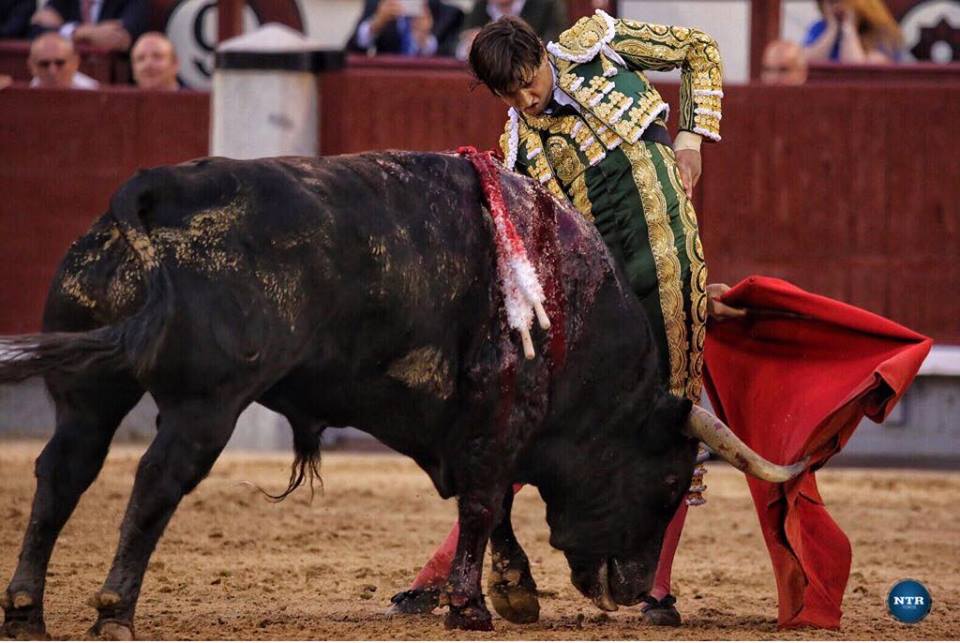 MADRID – ANDRES ROCA REY sauve une fade soirée sur le fil…
