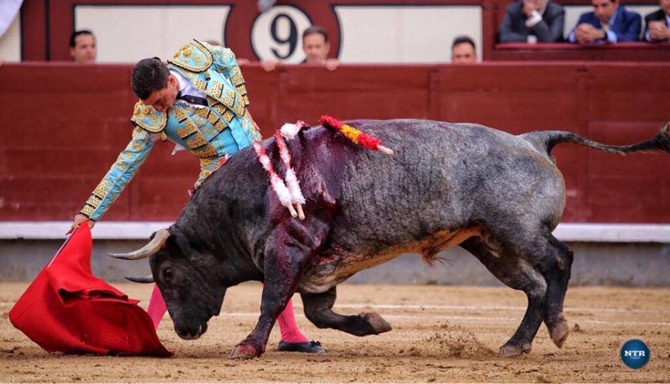 MADRID (04-06) Une oreille volée , une vuelta offerte et un grand torero de Madrid: OCTAVIO CHACON