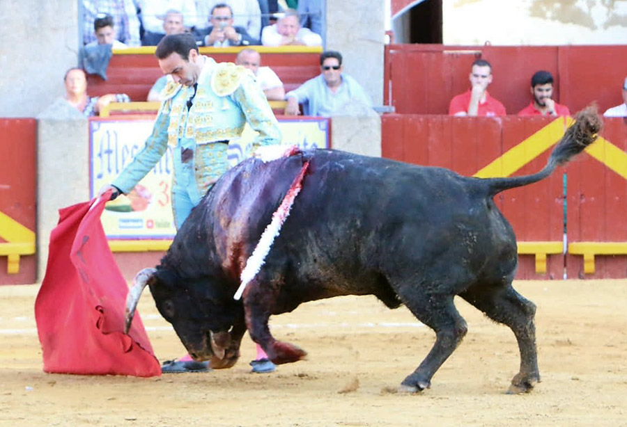 SANLUCAR, CAPTIEUX, LEDESMA, GRANADA … les autres courses de dimanche