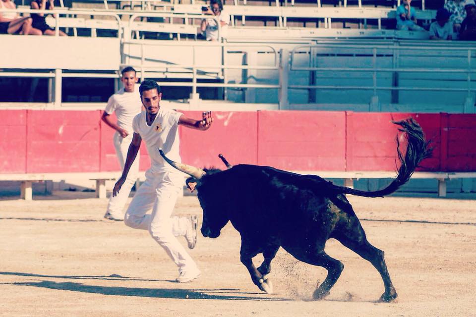 COURSE CAMARGUAISE // La liste des jeunes raseteurs qui montent en Ligue en 2019