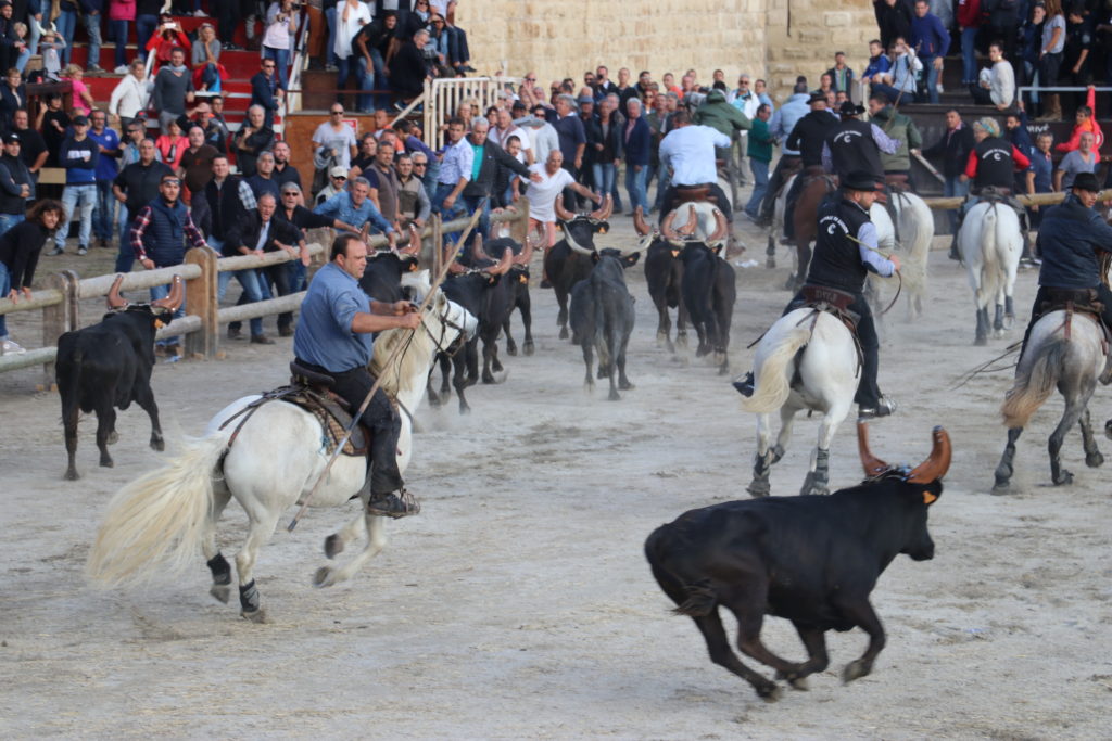 AIGUES MORTES 2018 – Le communiqué de Pierre Maumejean sur la Fête Votive 2018 – « A l’heure où le plan se vide de ses théâtres, la fête 2018 laissera un gout amer dans le cœur de tous les « ventres bleus »