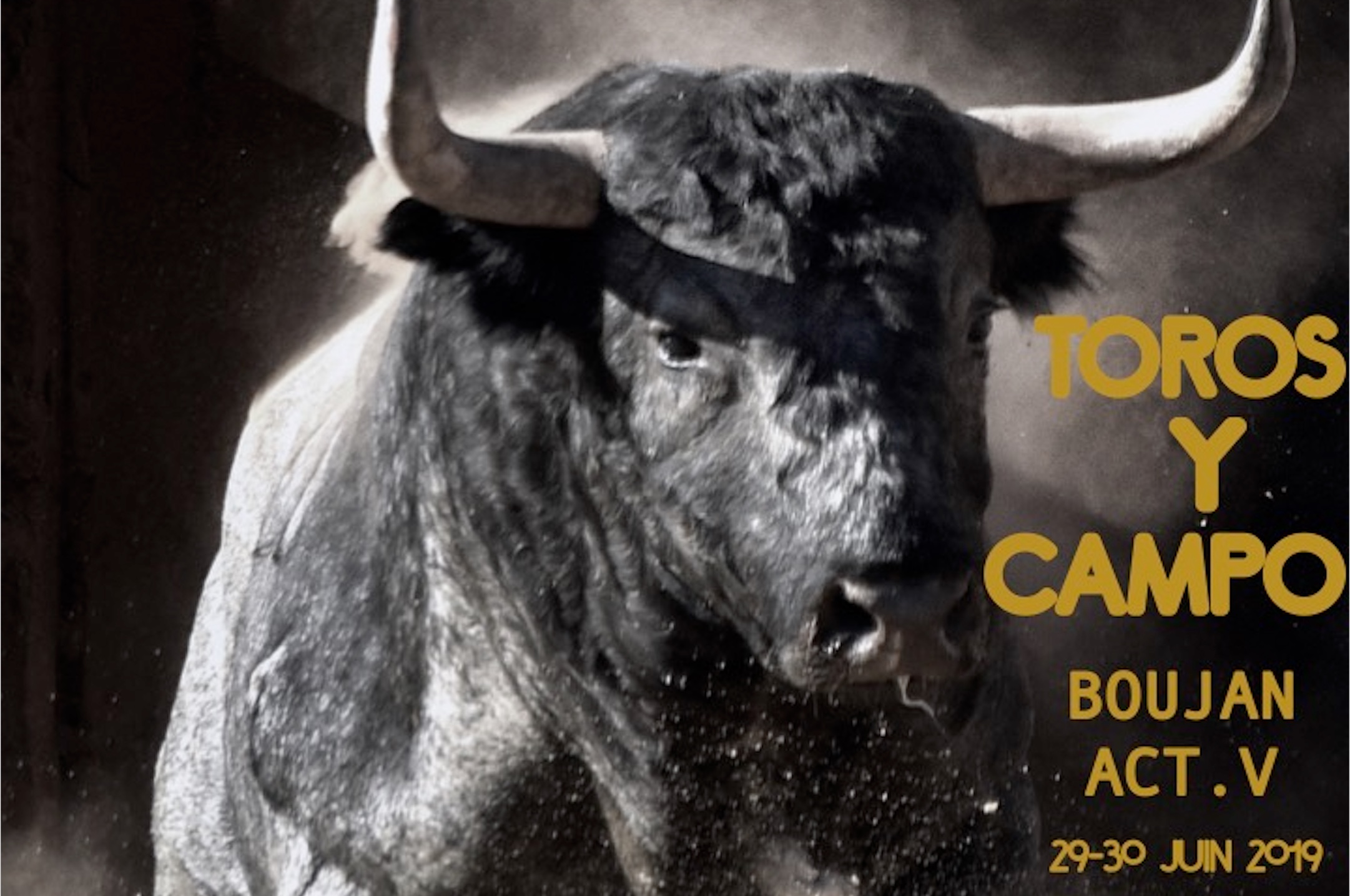 BOUJAN SUR LIBRON 2019 // Les ganaderias de Toros Y campo Boujan 2019 – Un accent « portugais »