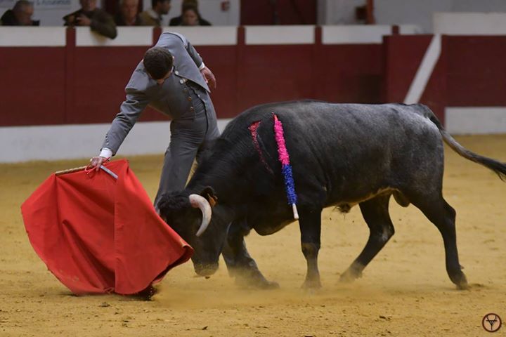 SAMADET (04-11) Jeunesse triomphante… (photos Matthieu Saubion Vuelta a los toros)