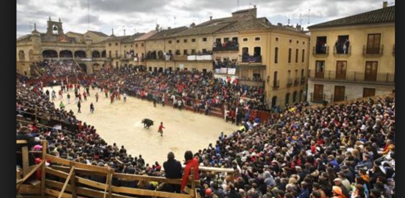 CIUDAD RODRIGO a sélectionné ses ganaderias pour El Carnaval 2019