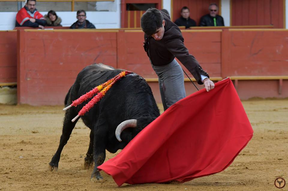 RION-DES-LANDES (18-11) Six oreilles et une queue pour la traditionnelle Fiesta Campera (photos Matthieu Saubion/vuelta a los toros)