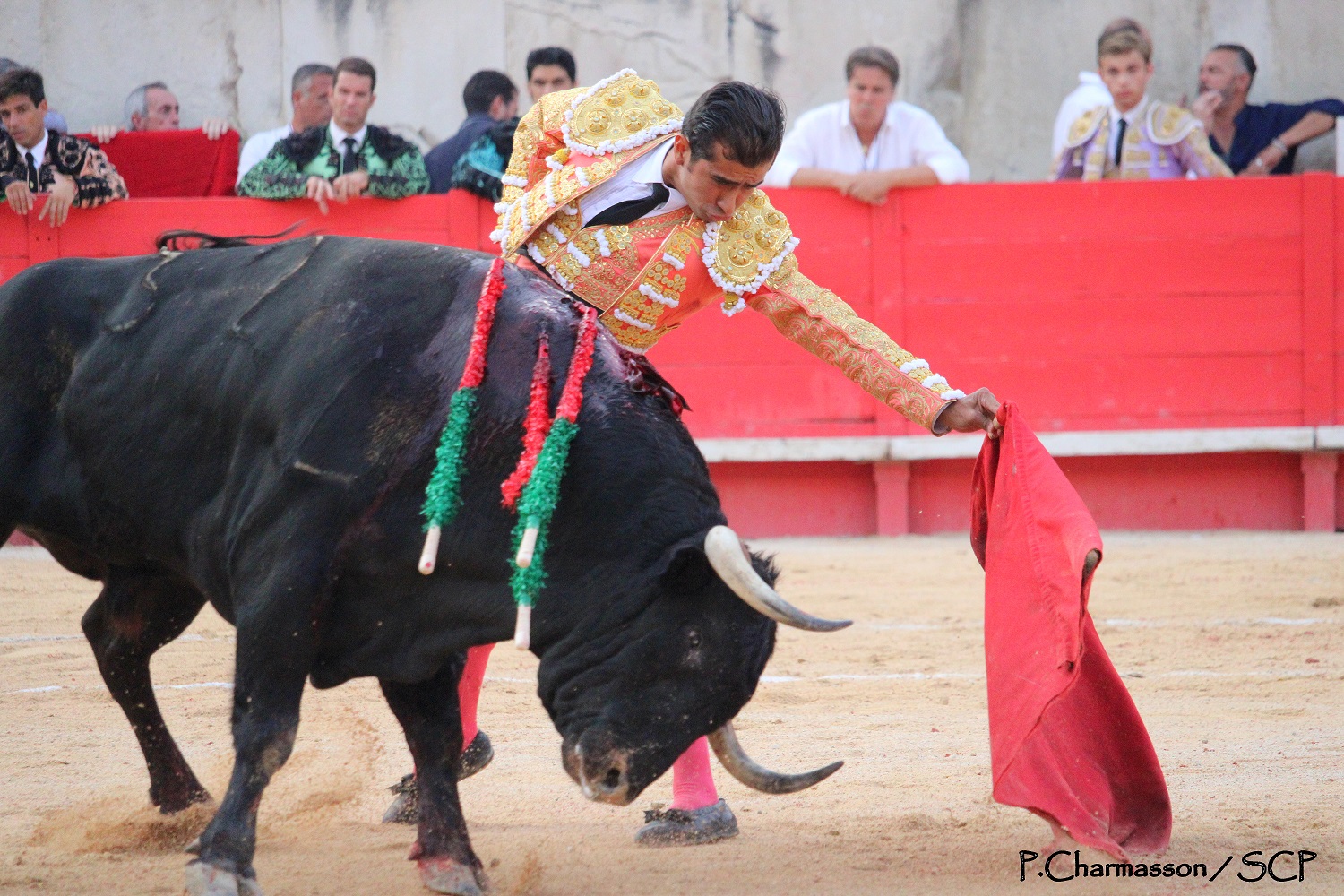 De nouveaux apoderados pour JOSELITO ADAME