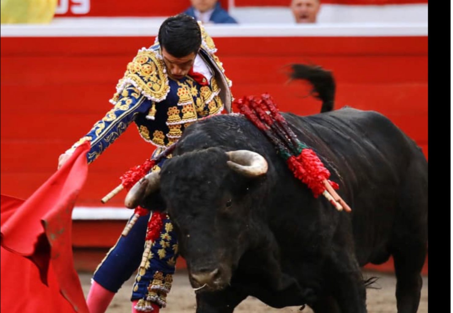 MANIZALES (07/01/2019) – À EL CID et EMILIO DE JUSTO les deux seules ovations