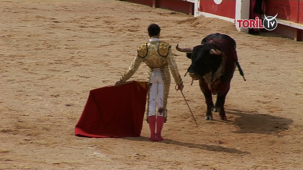 Thomas Joubert : De l’accident au triomphe