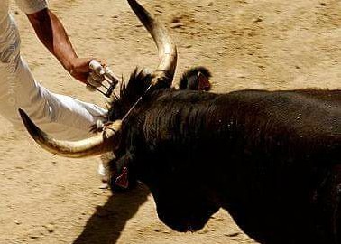 COURSE CAMARGUAISE – Les comptes-rendus des courses (Semaine 14/07/2018) – Générac, Mauguio, Fontvieille, Cavaillon, Fos, Sommières, Pérols….