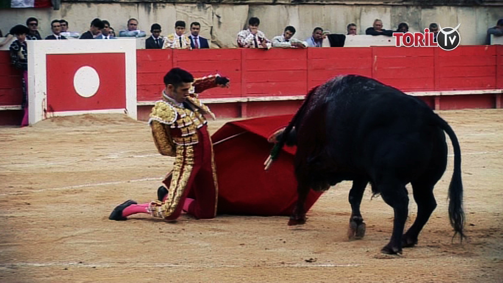 Alejandro Talavante