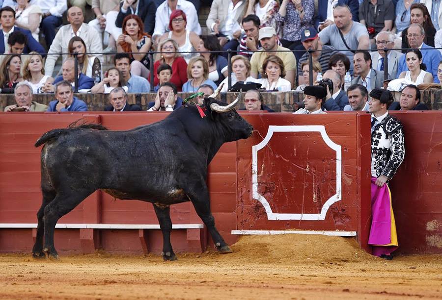 TAUROMACHIE // 4,5 MILLIARDS D’EUROS GÉNÉRÉS PAR L’ÉCONOMIE DE LA TAUROMACHIE EN 2017