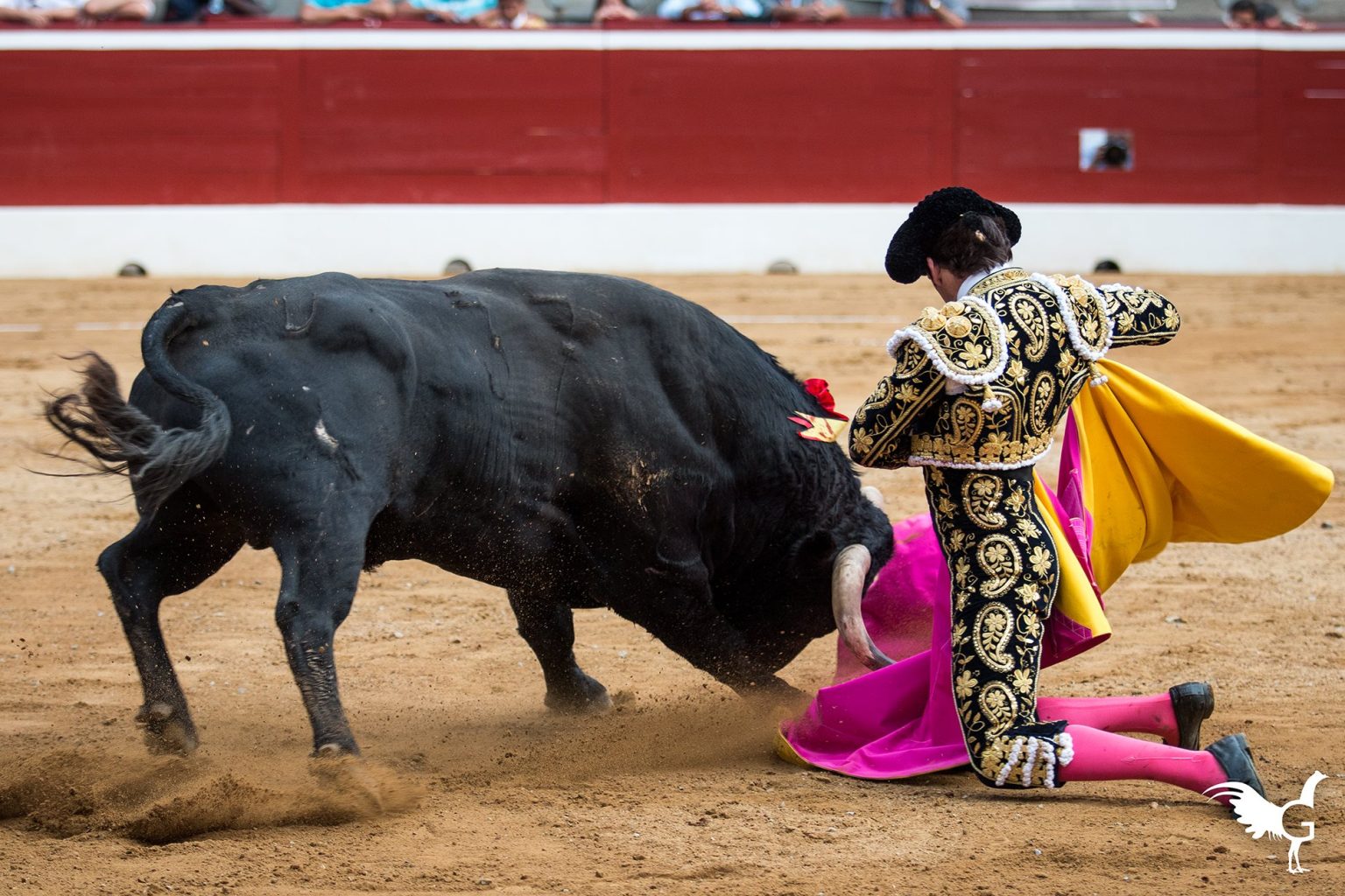 MONT-DE-MARSAN – Corrida 22 juillet 2017 – Juan Bautista et José Garrido se partagent les oreilles