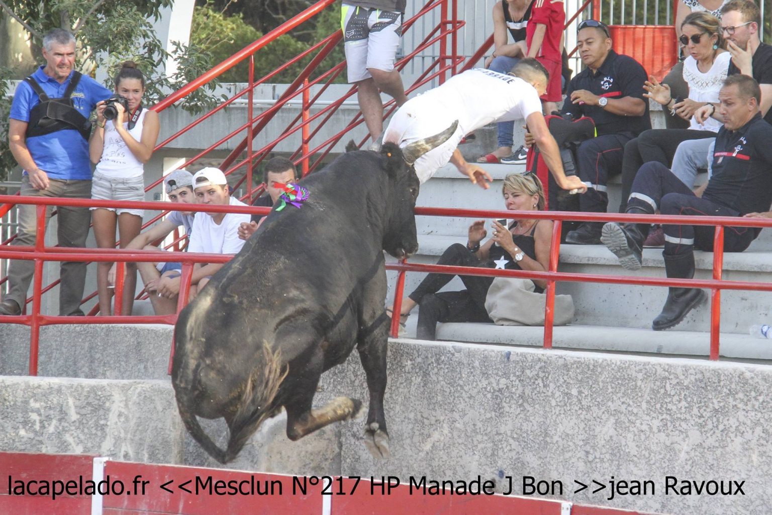 COURSE CAMARGUAISE – Le compte-rendu des courses du dernier week end d’août