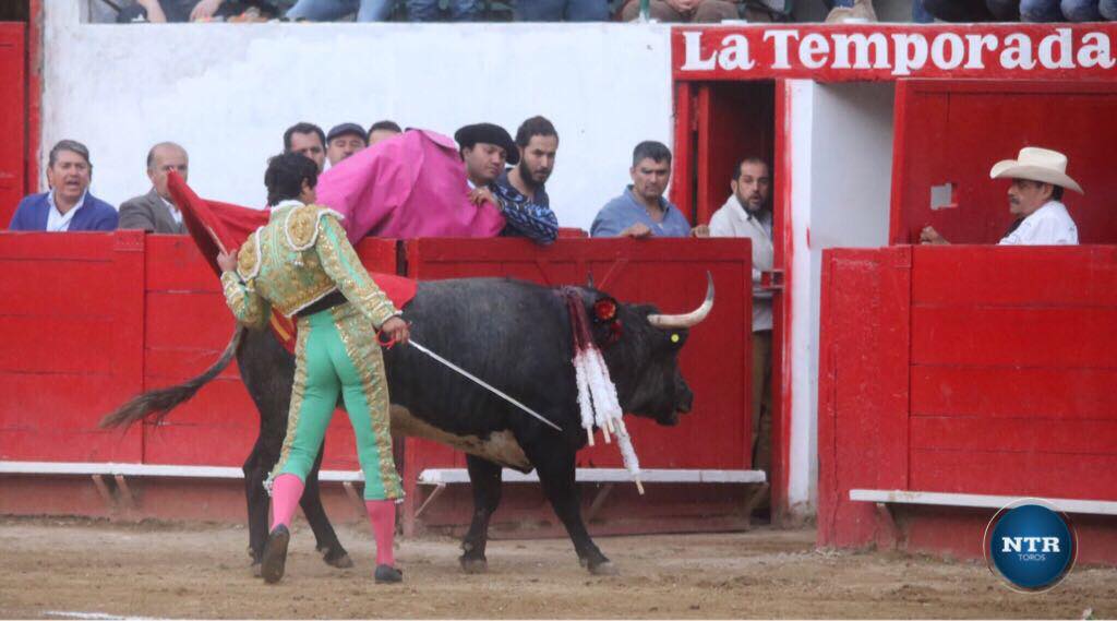 Le “petit” devient grand – Luis David Adame indulte “Maestro” à GUADALAJARA 12/11/2017