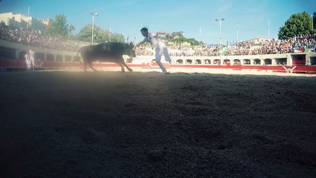 ALES // Les Courses Camarguaises de la Féria