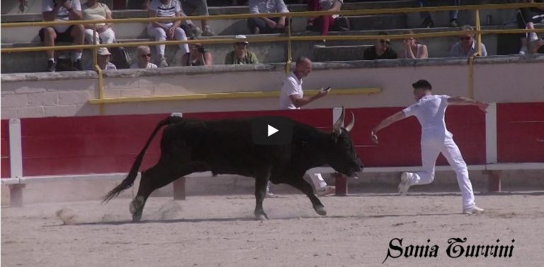 ST REMY DE PROVENCE (21/04/2018) – Le résumé vidéo de la course avenir