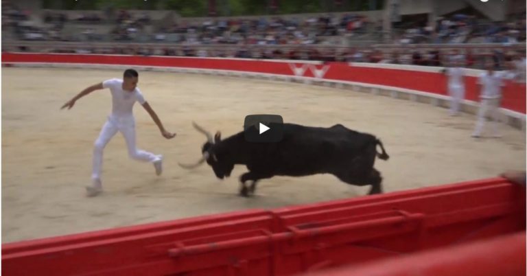 BEAUCAIRE (06/05/2018) – Le résumé vidéo de la course du Muguet d’or