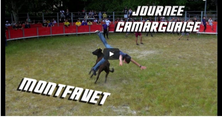 MONTFAVET (06/05/2018) – Retour en vidéo sur la journée camarguaise