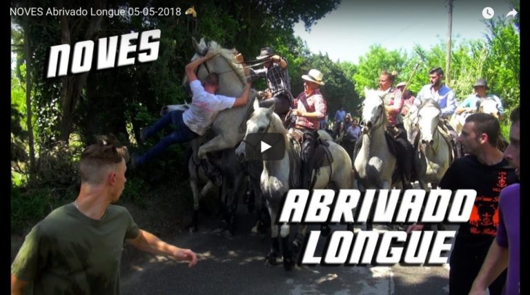 NOVES (05/05/2018) – Retour en vidéo sur l’Abrivado Longue