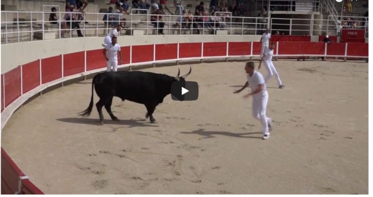 PORT ST LOUIS DU RHONE (12/05/2018) – Le résumé vidéo de la course