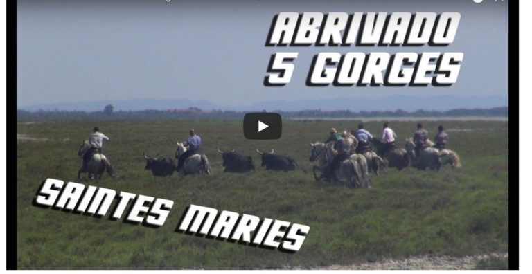 SAINTES MARIES DE LA MER (15 et 16/06/2018) – Retour en vidéo sur l’abrivado 5 Gorges