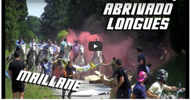 MAILLANE (03/06/2018) – Retour en vidéo sur le Festival Abrivado Longue