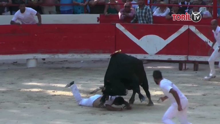 VIDEO // BEAUCAIRE (30/07/2018) – Amine Chekade fortement accroché par le taureau CARUSO (Saumade)