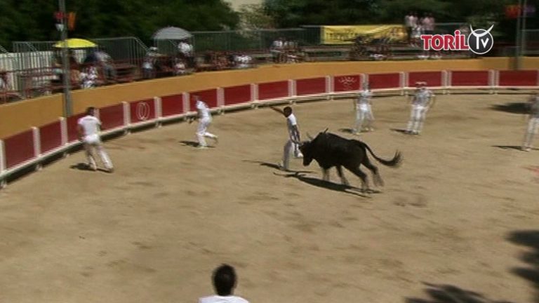 ST GEORGES D’ORQUES (01/07/2018) – Le résumé vidéo de la course AS, Trophée 3M