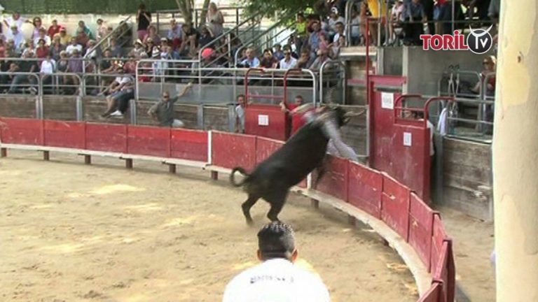 VENDARGUES (22/07/2018) – Le résumé vidéo de la course AS, 9ème journée de la Main d’or