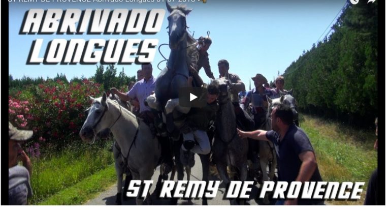 ST REMY DE PROVENCE – Retour en vidéo sur l’abrivado longue (30/06 et 01/07/2018)