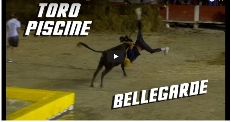 BELLEGARDE (29/06/2018) – Retour en vidéo sur le toro piscine